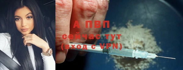 ECSTASY Костерёво