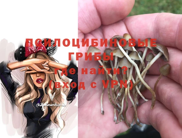 ECSTASY Костерёво