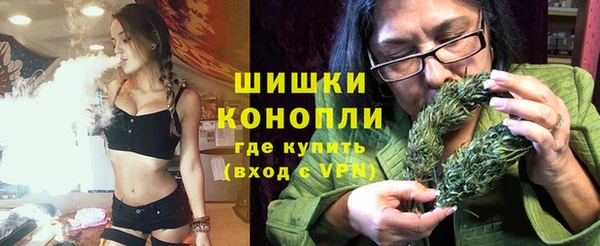 ECSTASY Костерёво