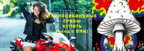 молекула духа Корсаков