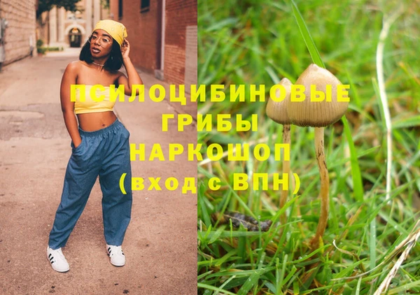 молекула духа Корсаков