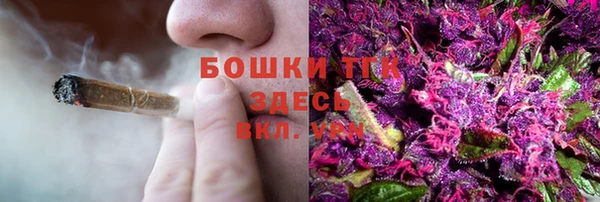 молекула духа Корсаков