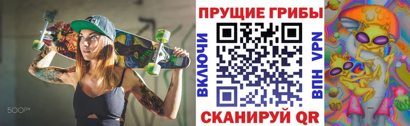 Купить закладки  Буйнакск  Галлюциногенные грибы прущие грибы 